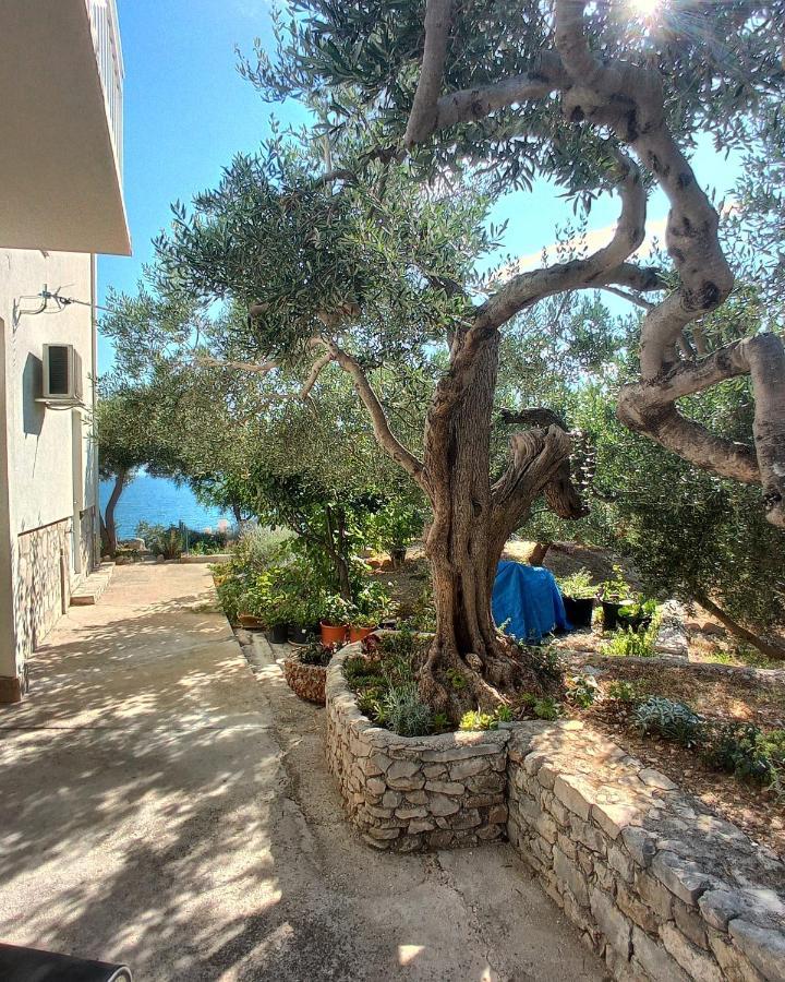 Appartamento Casa del Olivo Tučepi Esterno foto