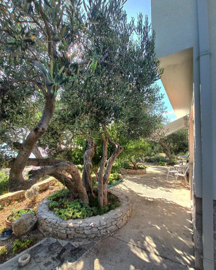 Appartamento Casa del Olivo Tučepi Esterno foto